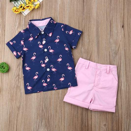 Flamingo Set