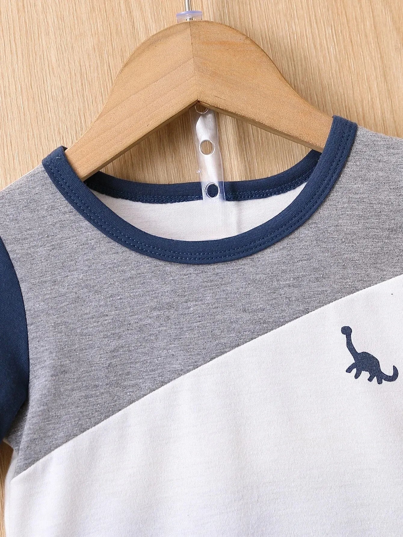 2Pc Simple Dinosaur Shirt + Short